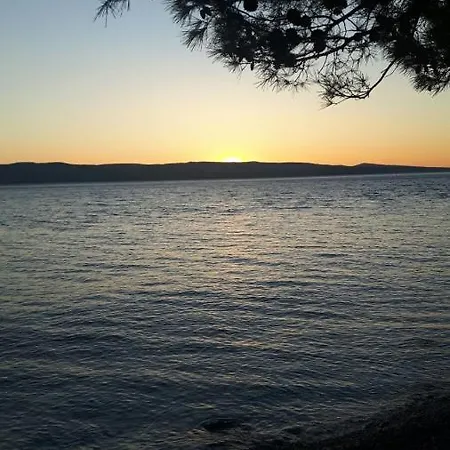 House Vida Goraleks 4*